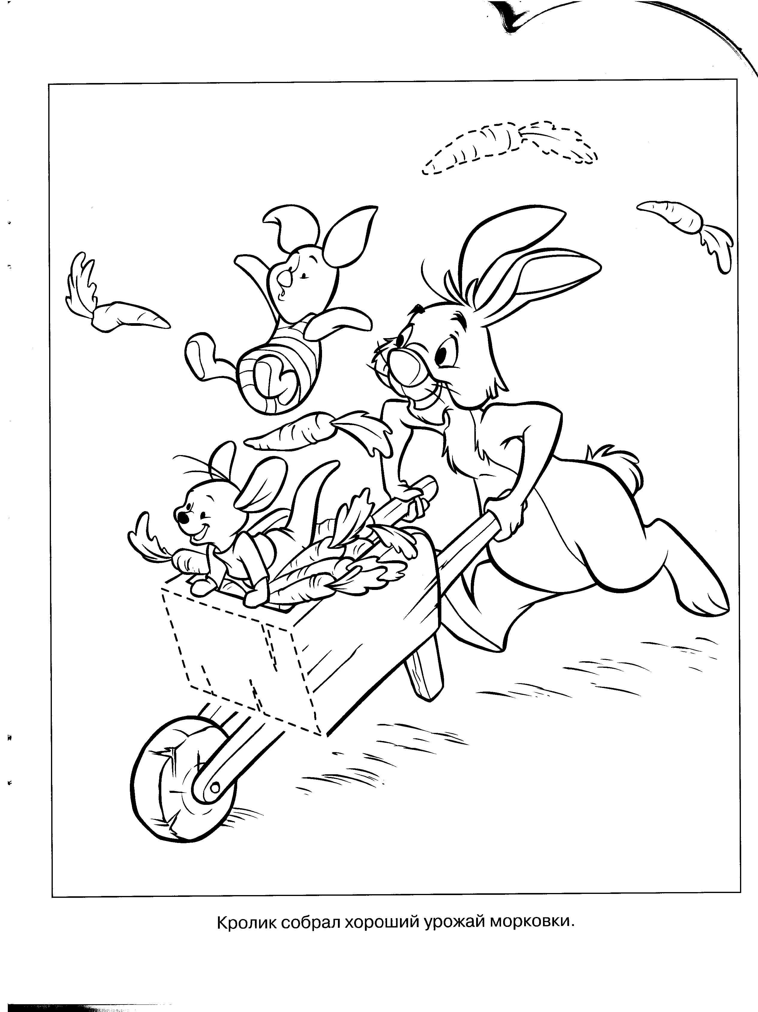 Winnie the Pooh #40192