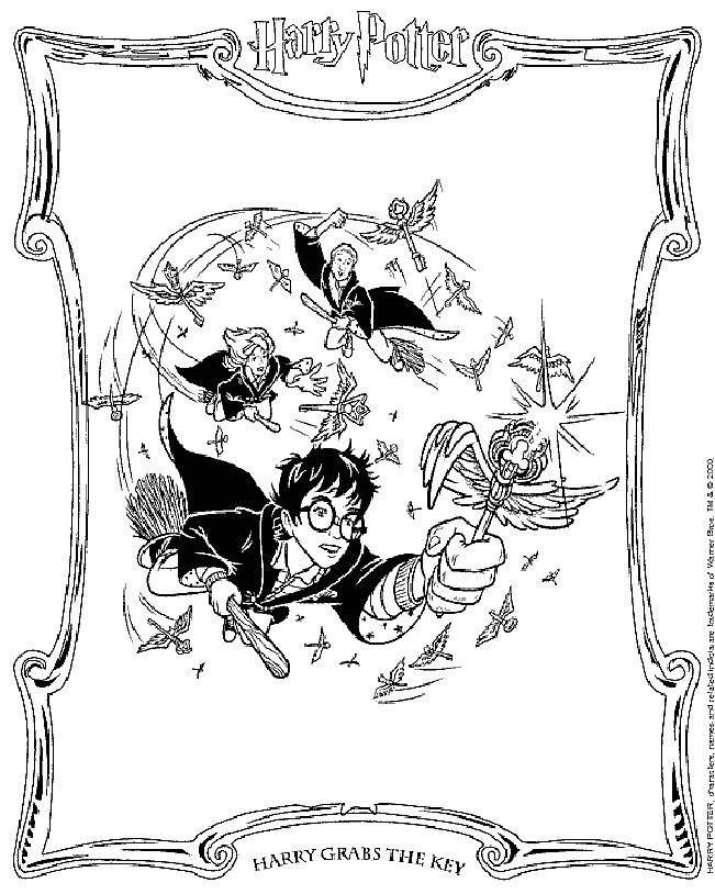 Harry Potter #33878