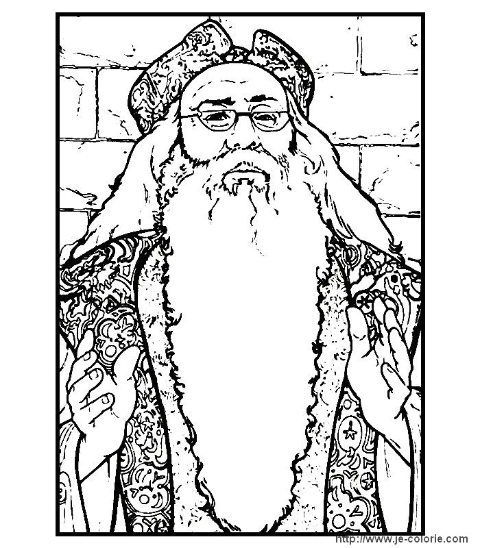 Harry Potter #33879
