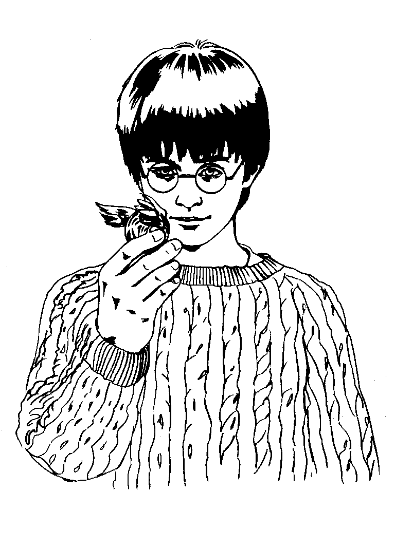 Harry Potter #33881