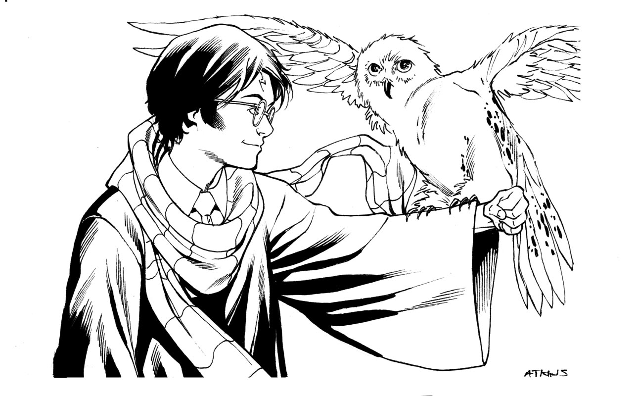 Harry Potter #33891