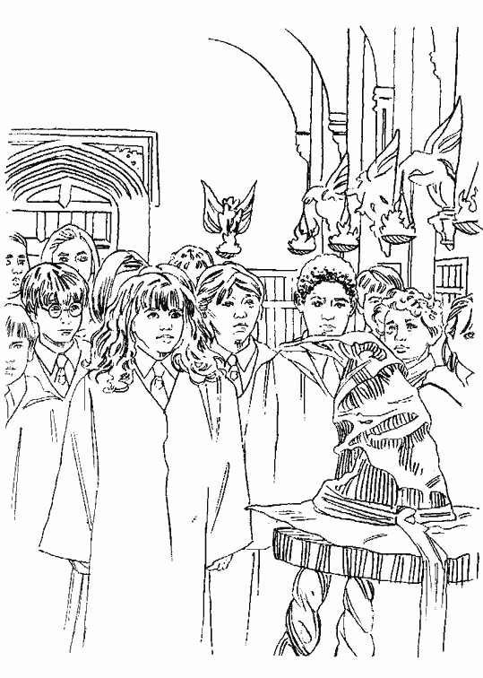 Harry Potter #33895