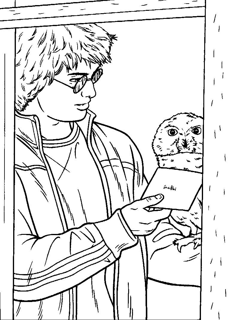 Harry Potter #33905
