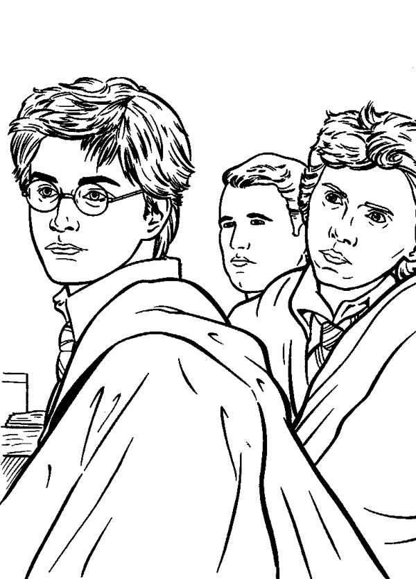 Harry Potter #33914