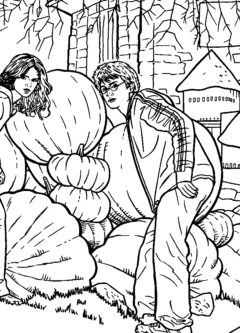Harry Potter #33917
