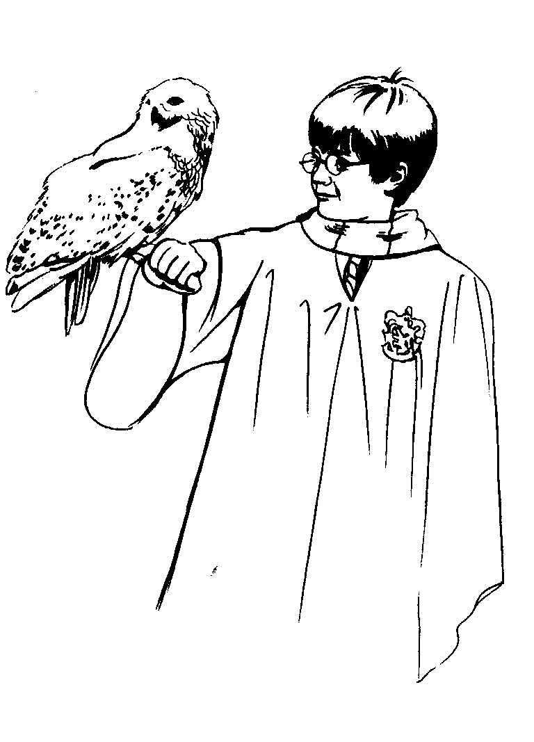 Harry Potter #33927