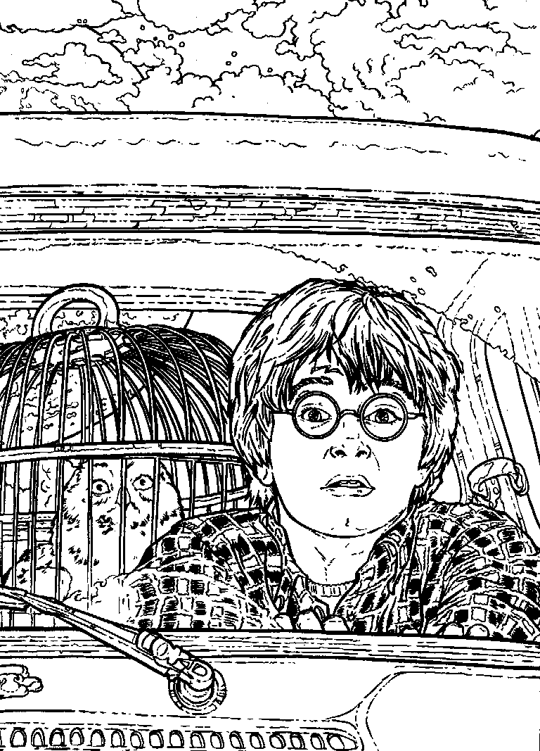 Harry Potter #33936