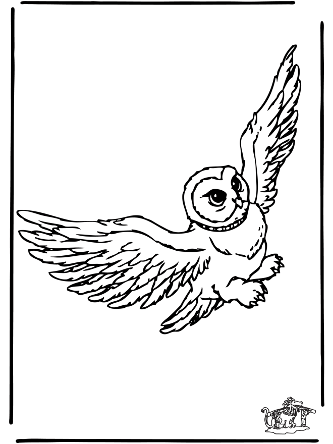 Harry Potter #33940