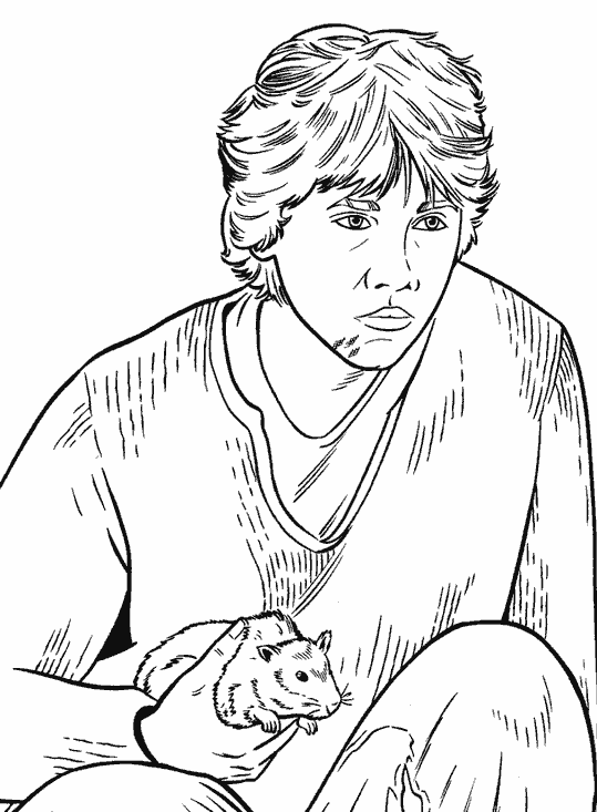 Harry Potter #33941