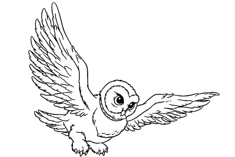 Harry Potter #33951