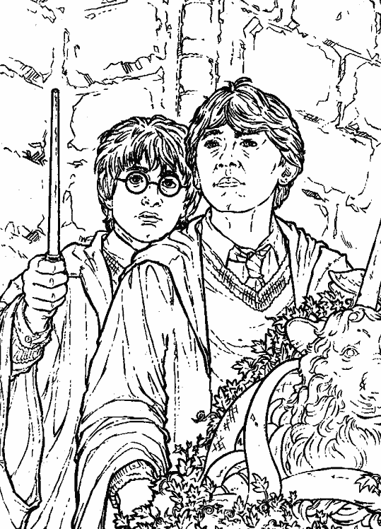Harry Potter #33952