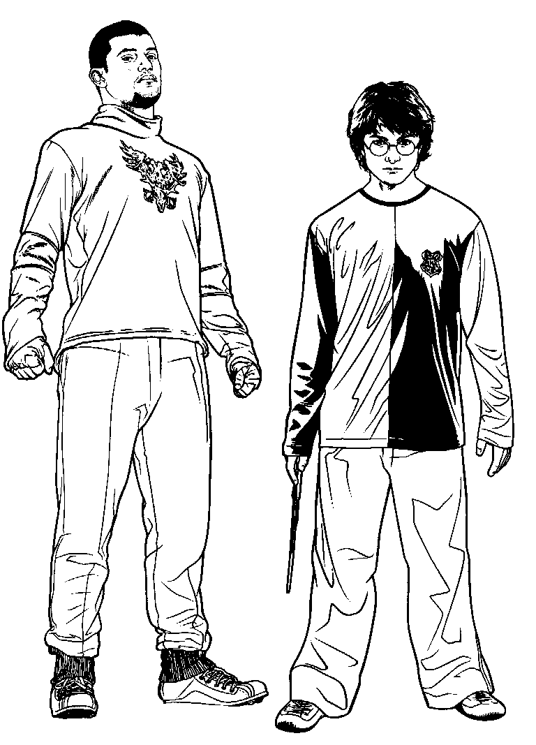 Harry Potter #33954