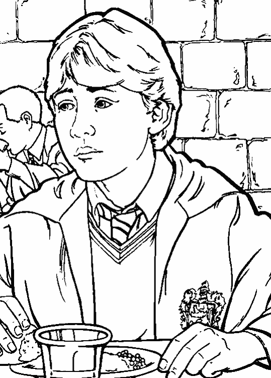 Harry Potter #33963