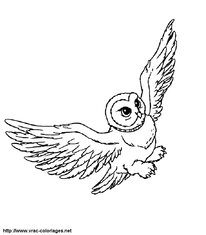 Harry Potter #33969