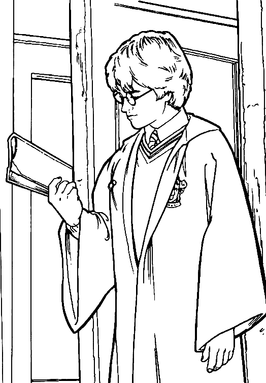 Harry Potter #33978