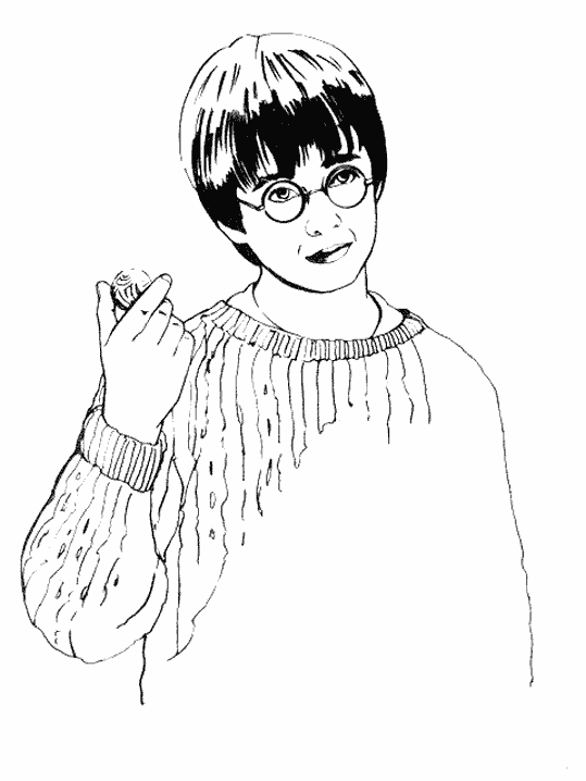 Harry Potter #33979