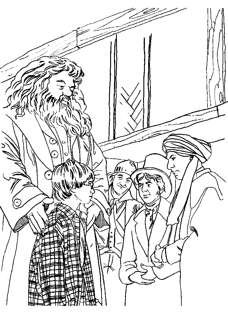 Harry Potter #33980