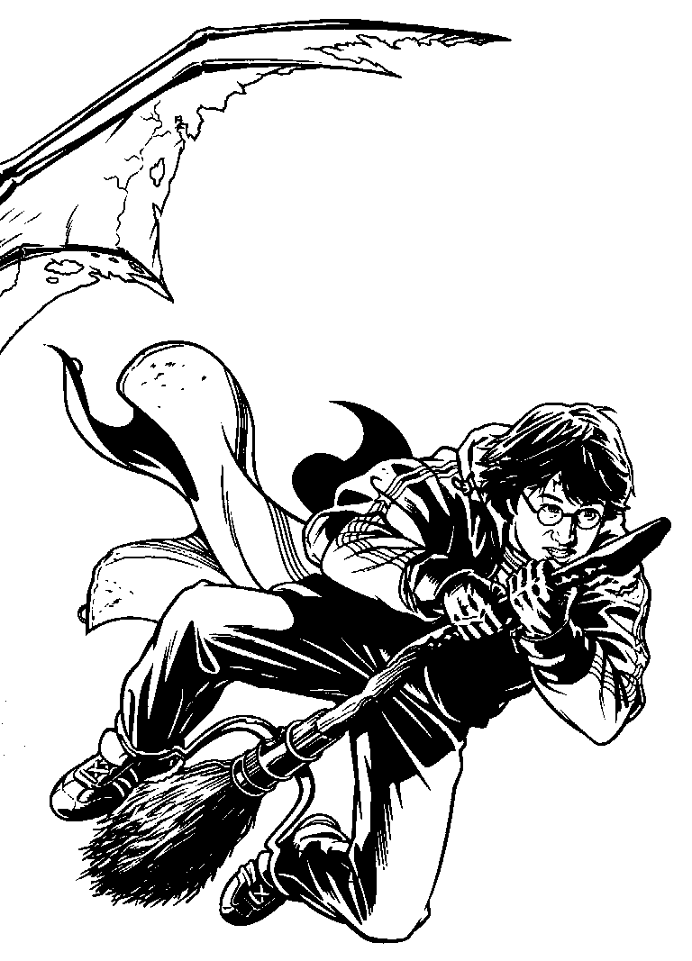 Harry Potter #33982