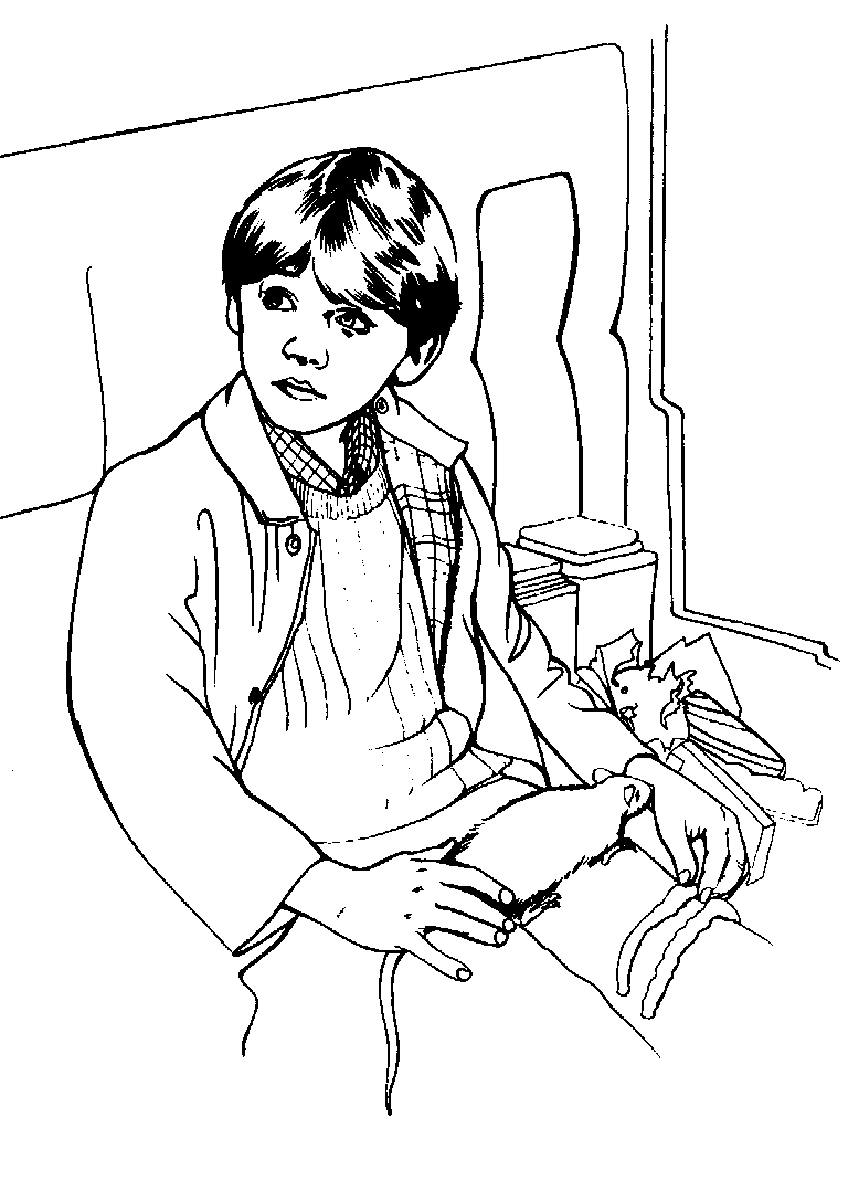 Harry Potter #33995