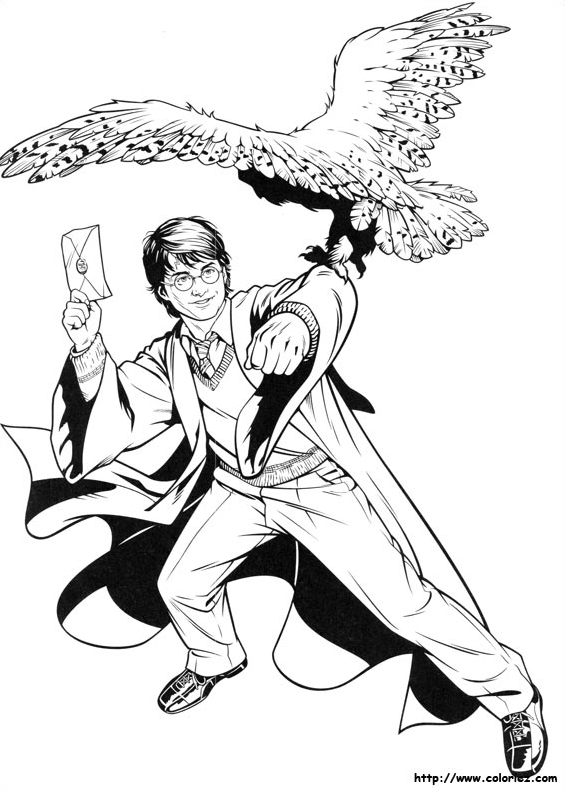 Harry Potter #33997