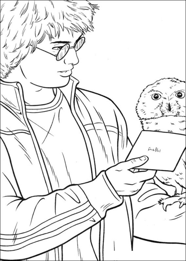 Harry Potter #34001
