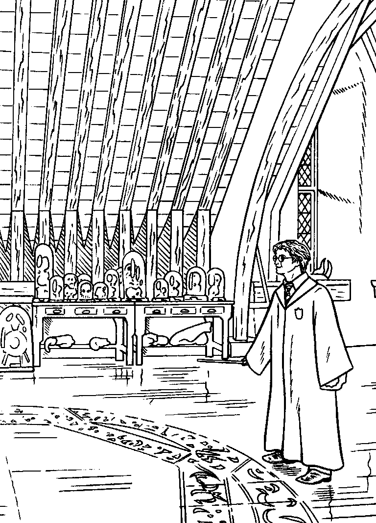 Harry Potter #34002