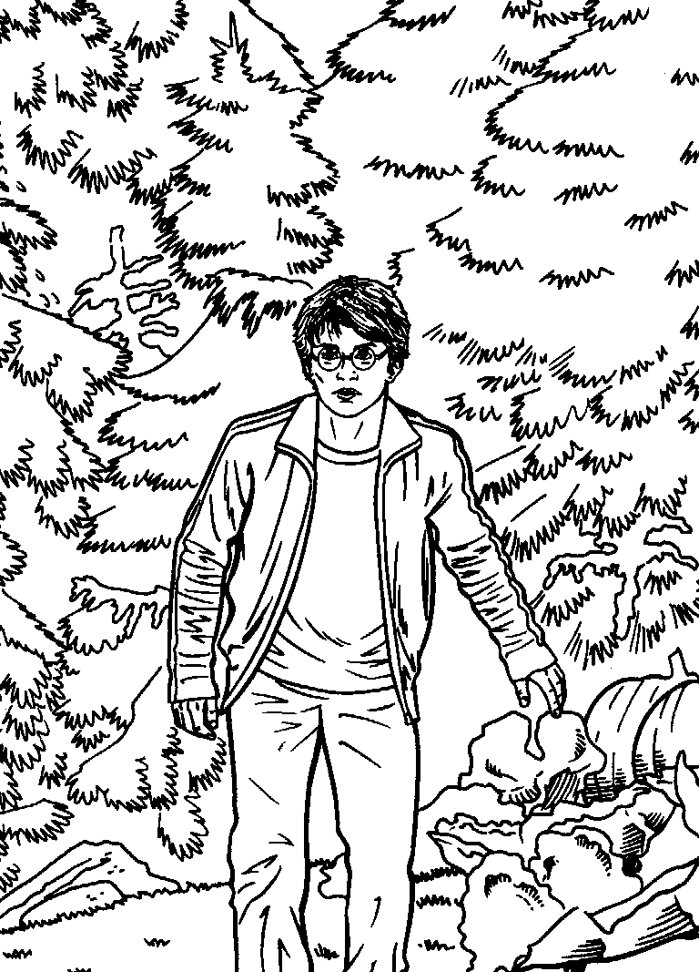 Harry Potter #34003