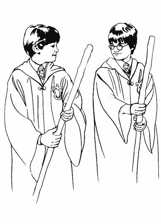 Harry Potter #34005