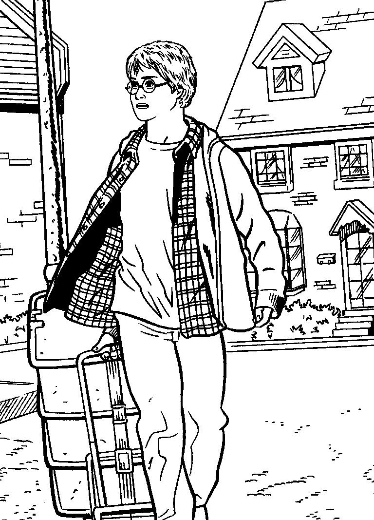 Harry Potter #34023