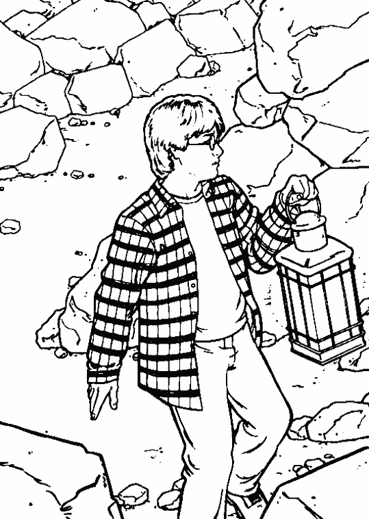 Harry Potter #34025