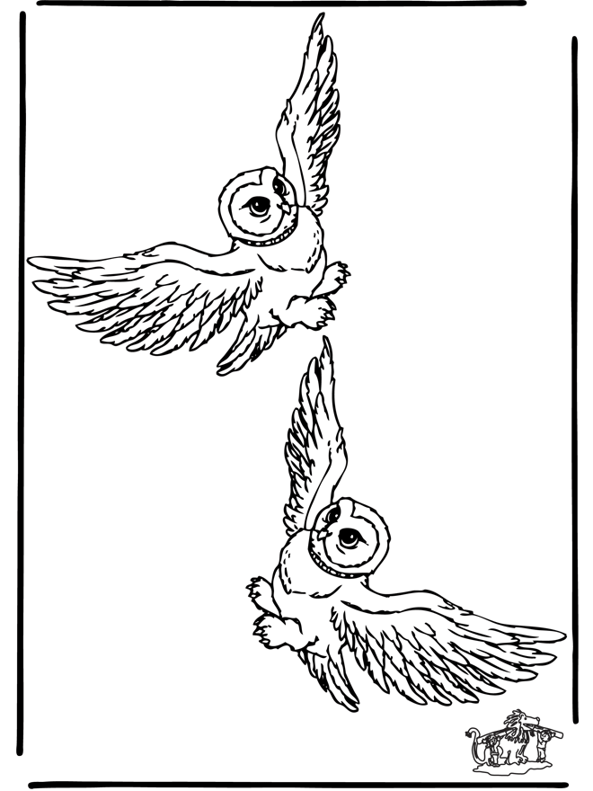 Harry Potter #34050