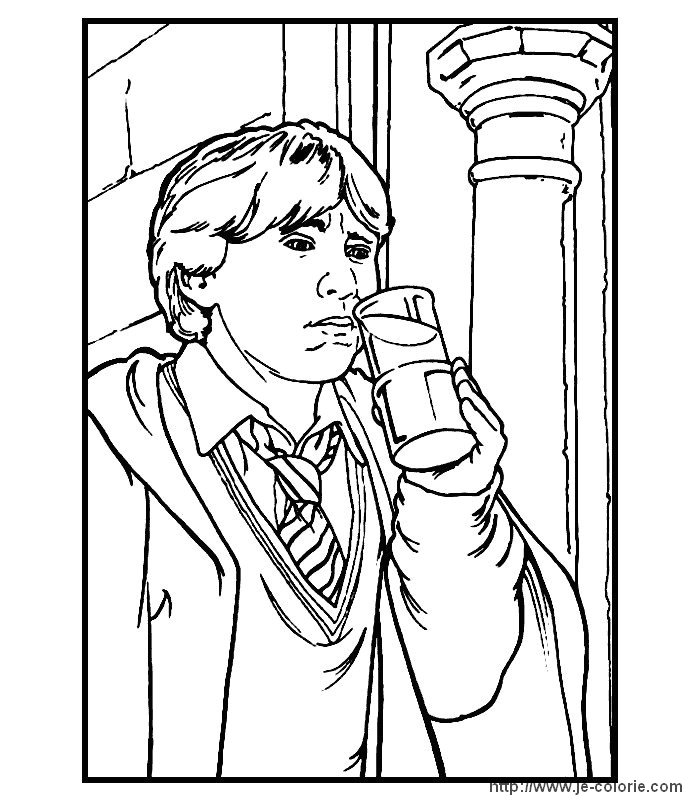 Harry Potter #34065