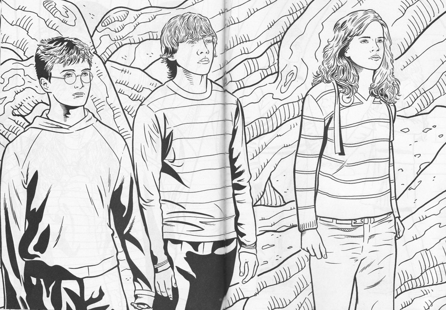 Harry Potter #33821