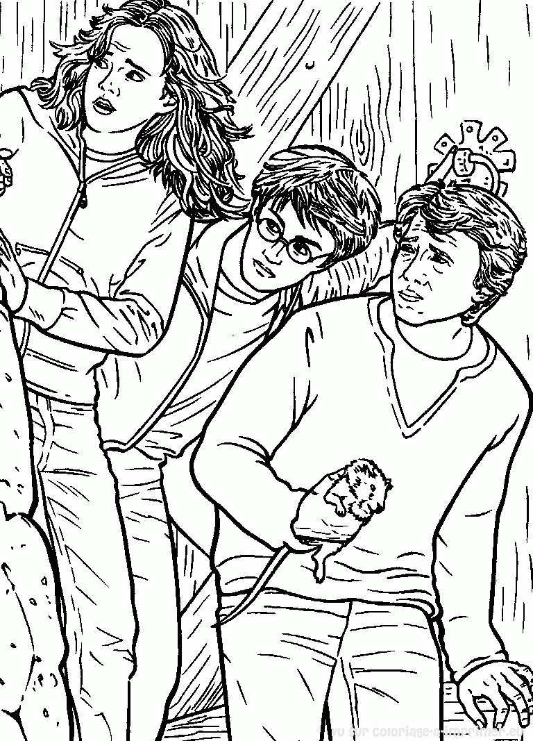 Harry Potter #33823
