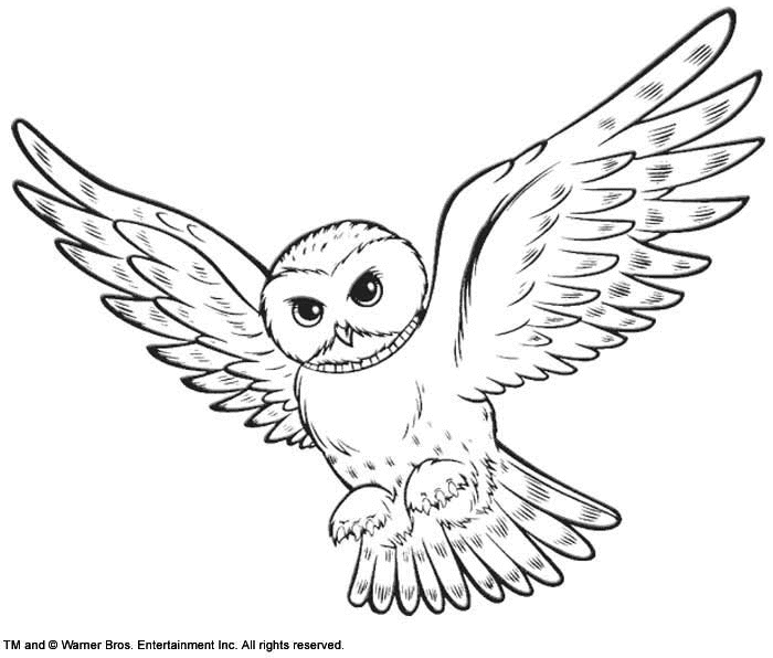 Harry Potter #33833
