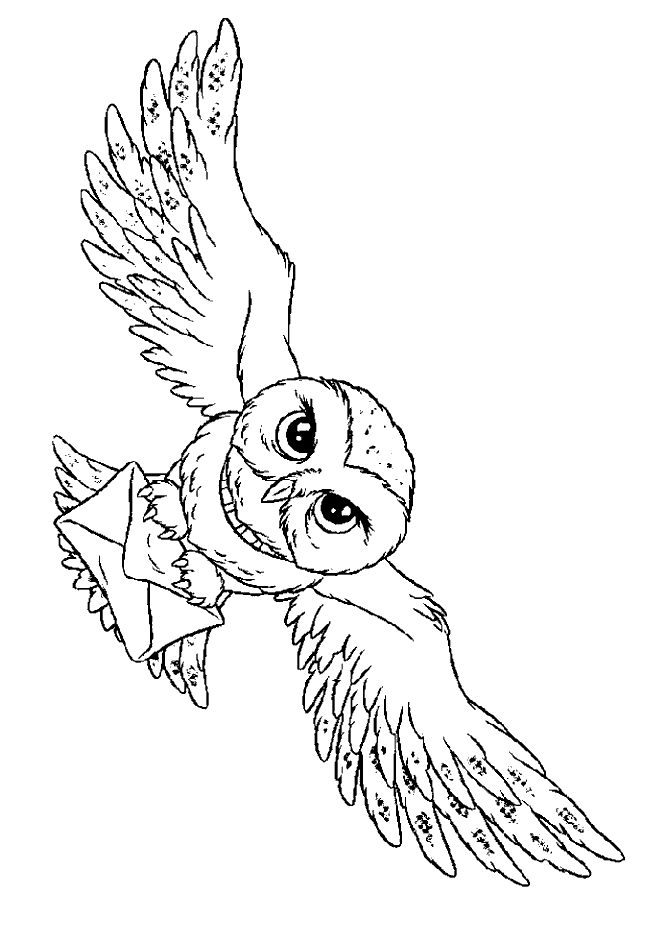 Harry Potter #33835