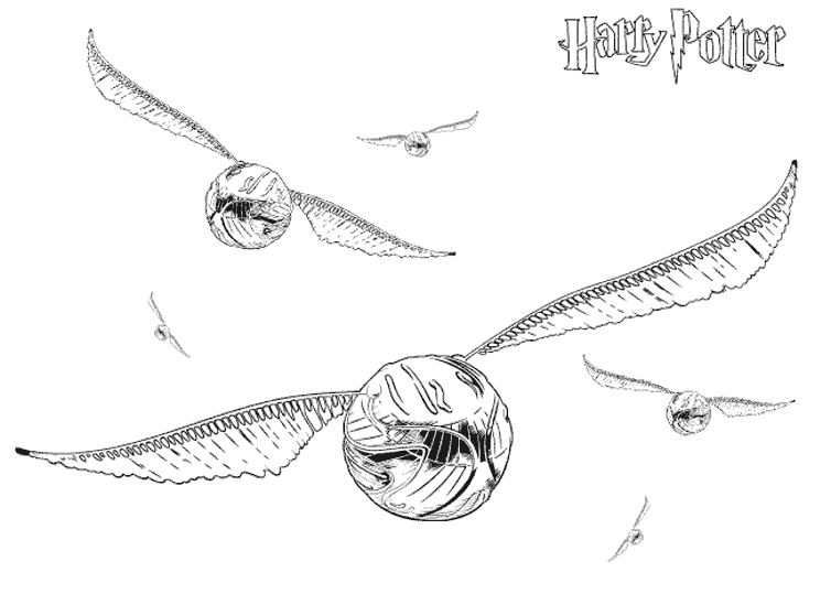 Harry Potter #33837