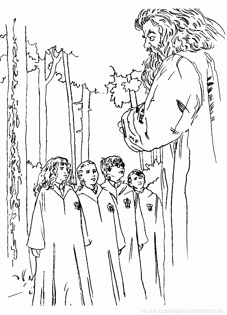 Harry Potter #33839
