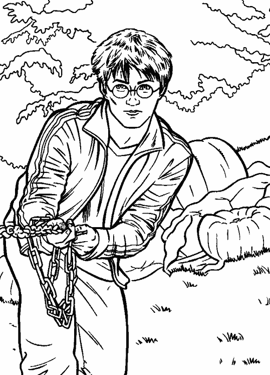 Harry Potter #33843