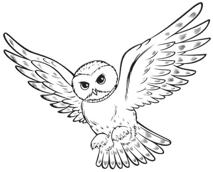 Harry Potter #33851