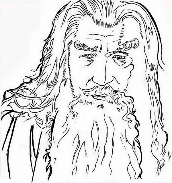 Hobbit #34120