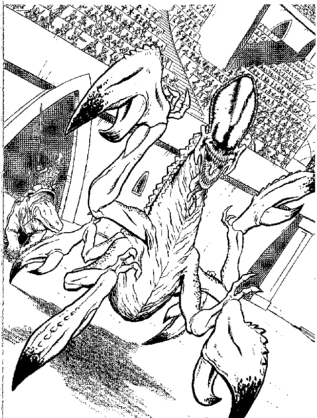 Star Wars #34990