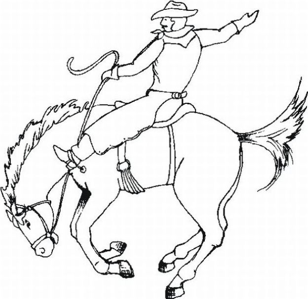 Cowboy #41267