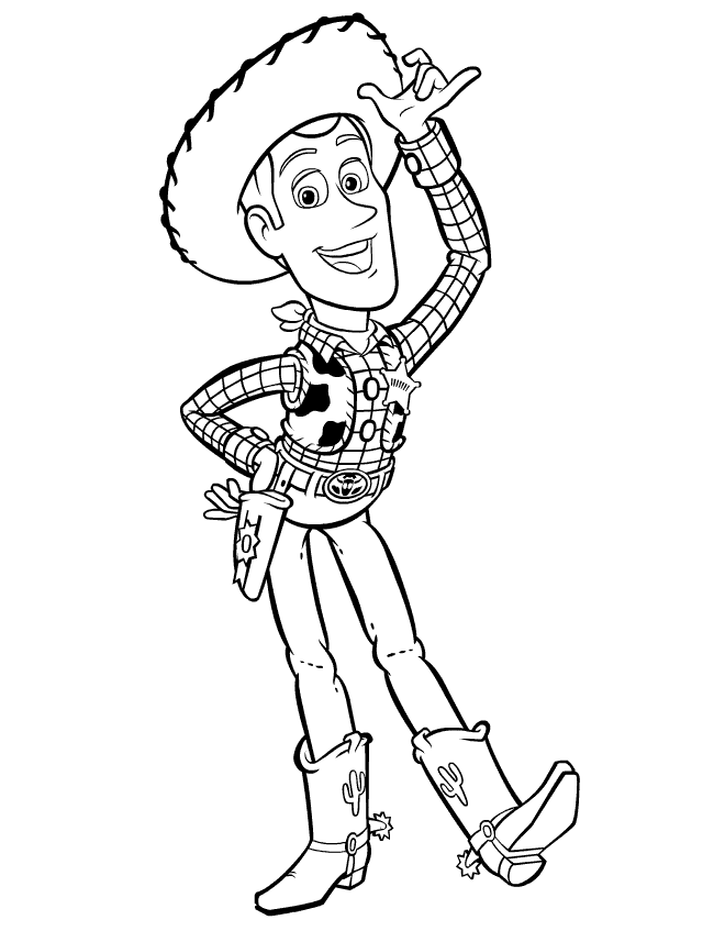 Cowboy #41305