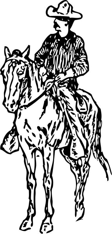 Cowboy #41307