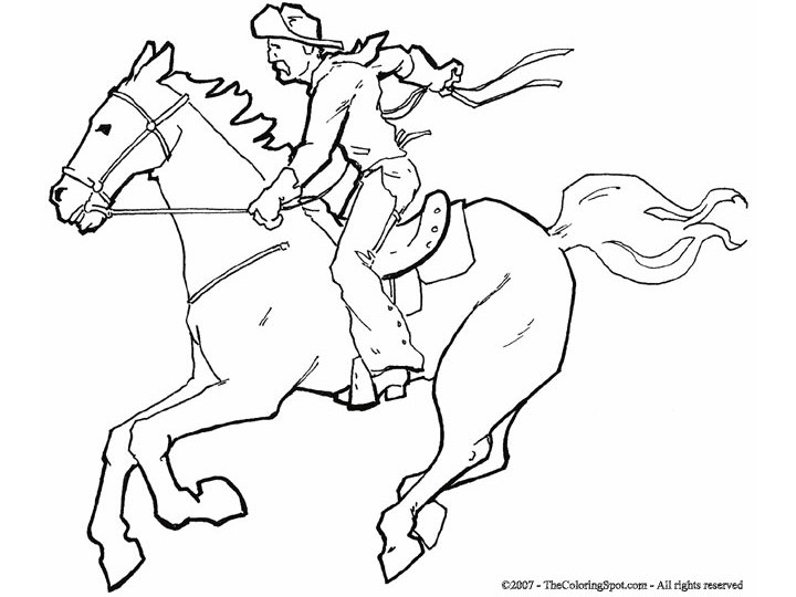 Cowboy #41308