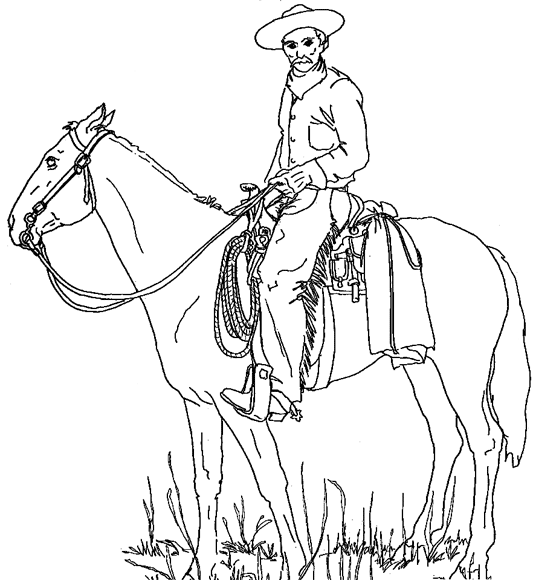 Cowboy #41334