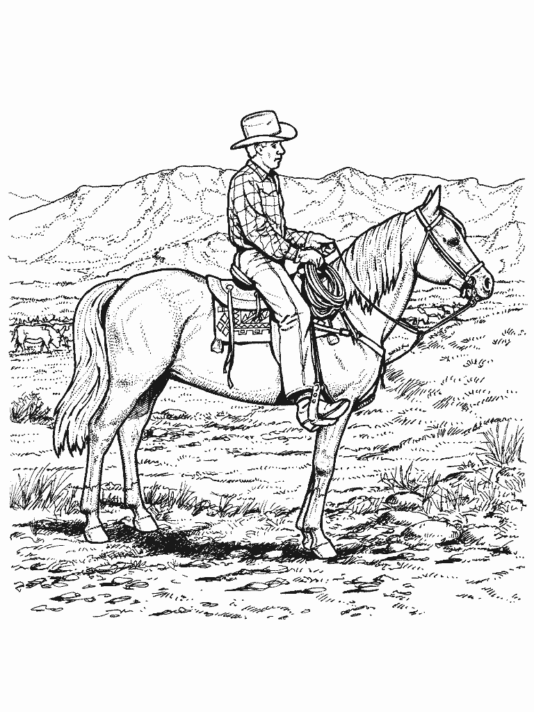 Cowboy #41347