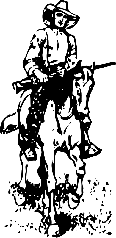 Cowboy #41358