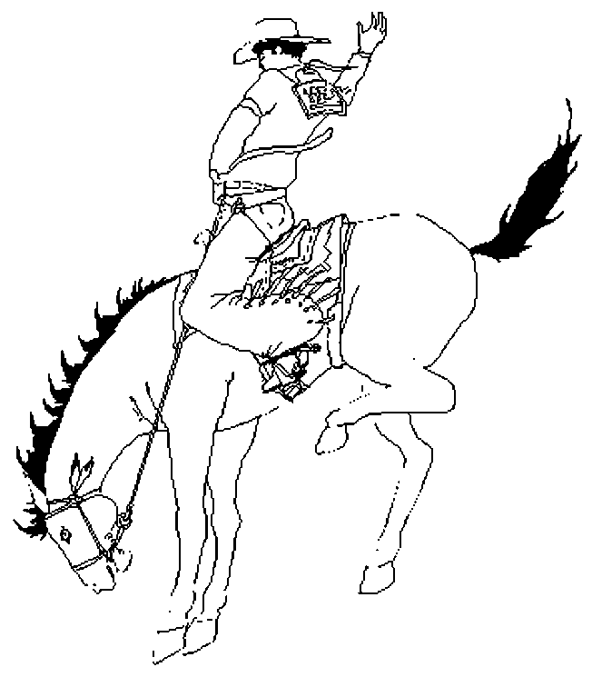 Cowboy #41387